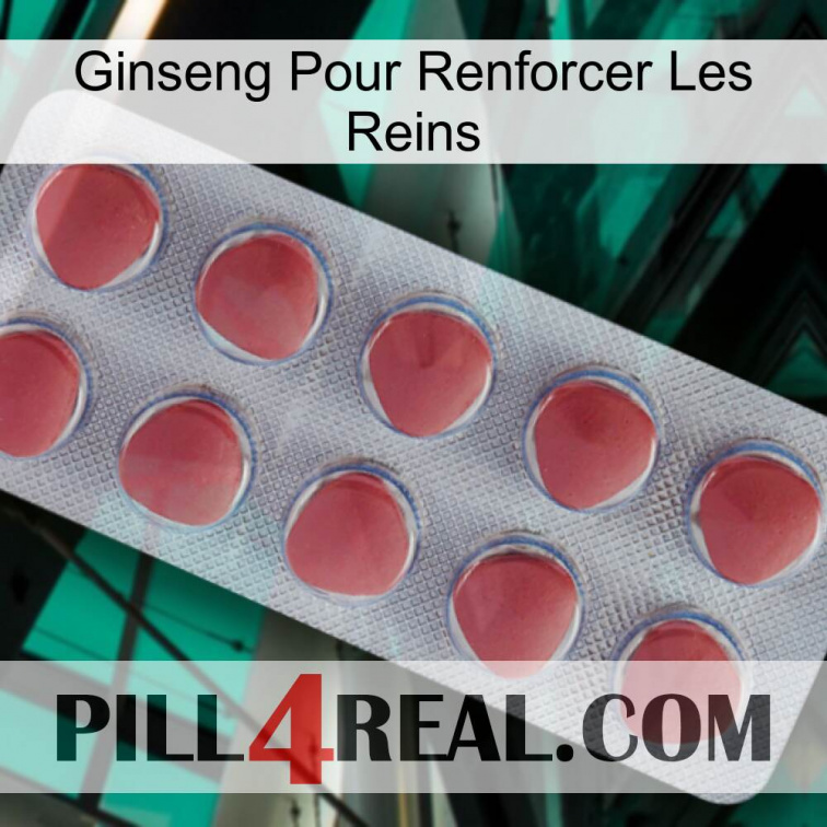 Ginseng For Reinforcing Kidney 18